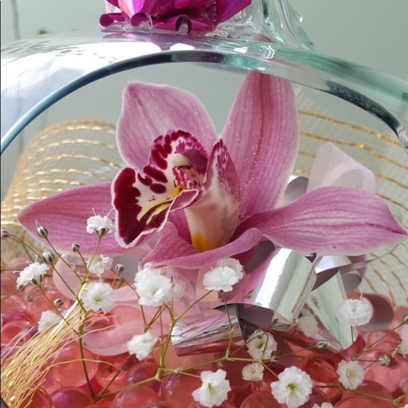 Meet your Posher, Mayra - Picture 1 of 1